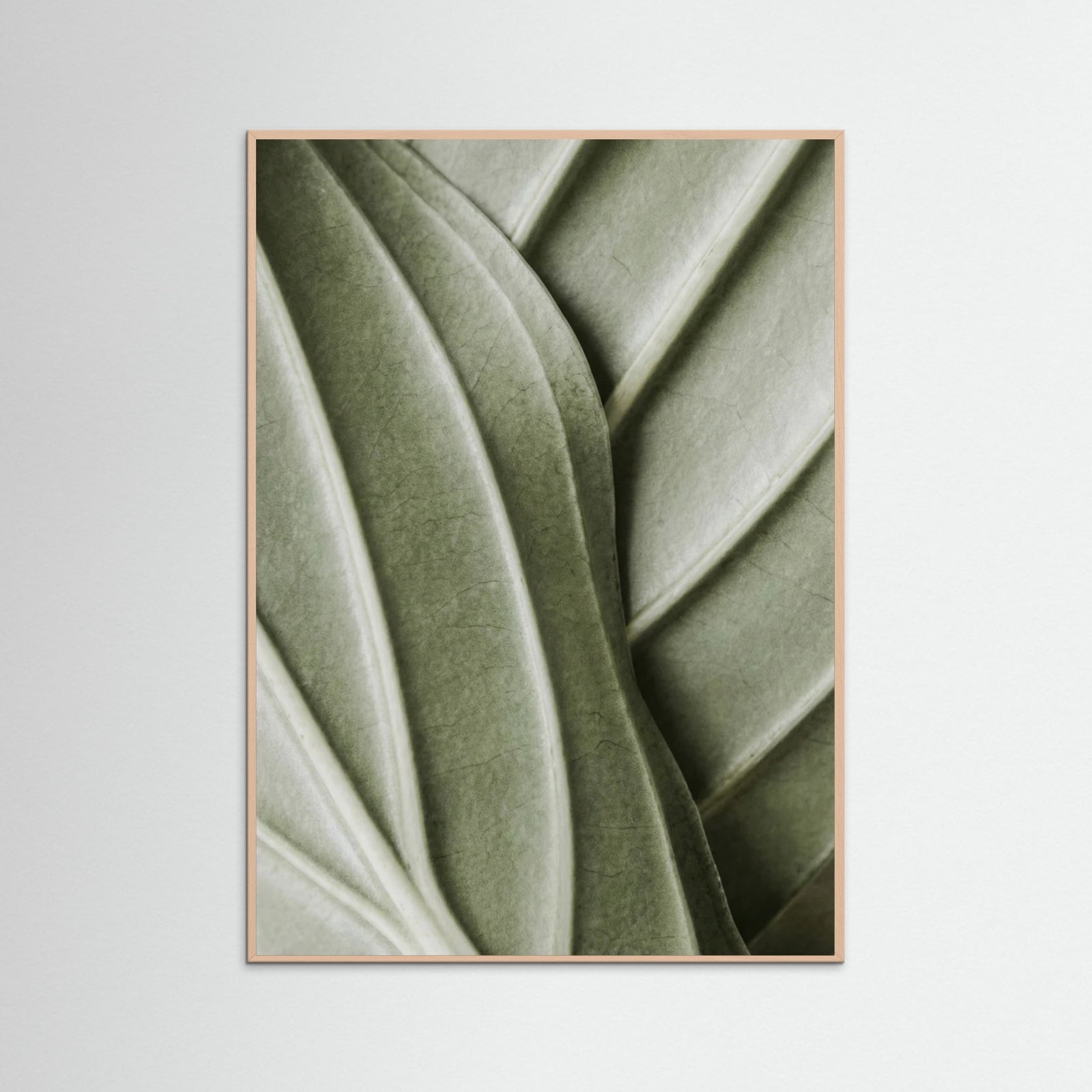 Rose Wood Verdant Folds