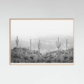 Rose Wood Western Cactus Poster