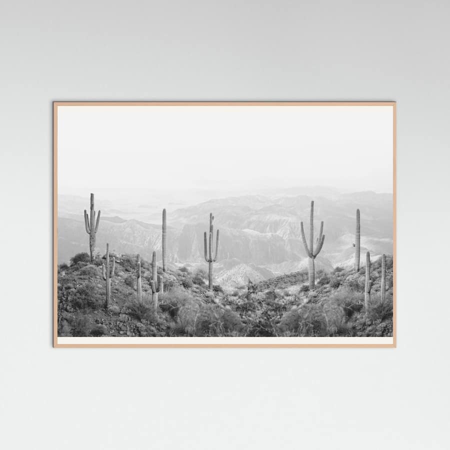 Rose Wood Western Cactus Poster