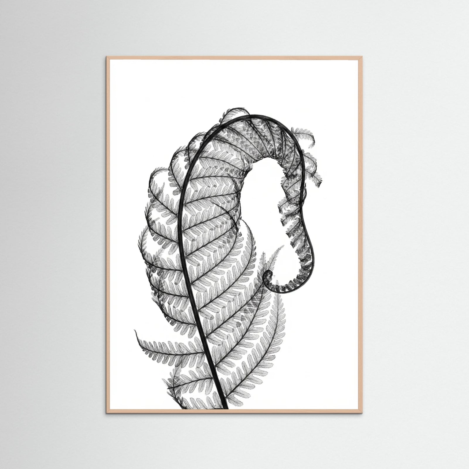 Rose Wood Whisper Bloom