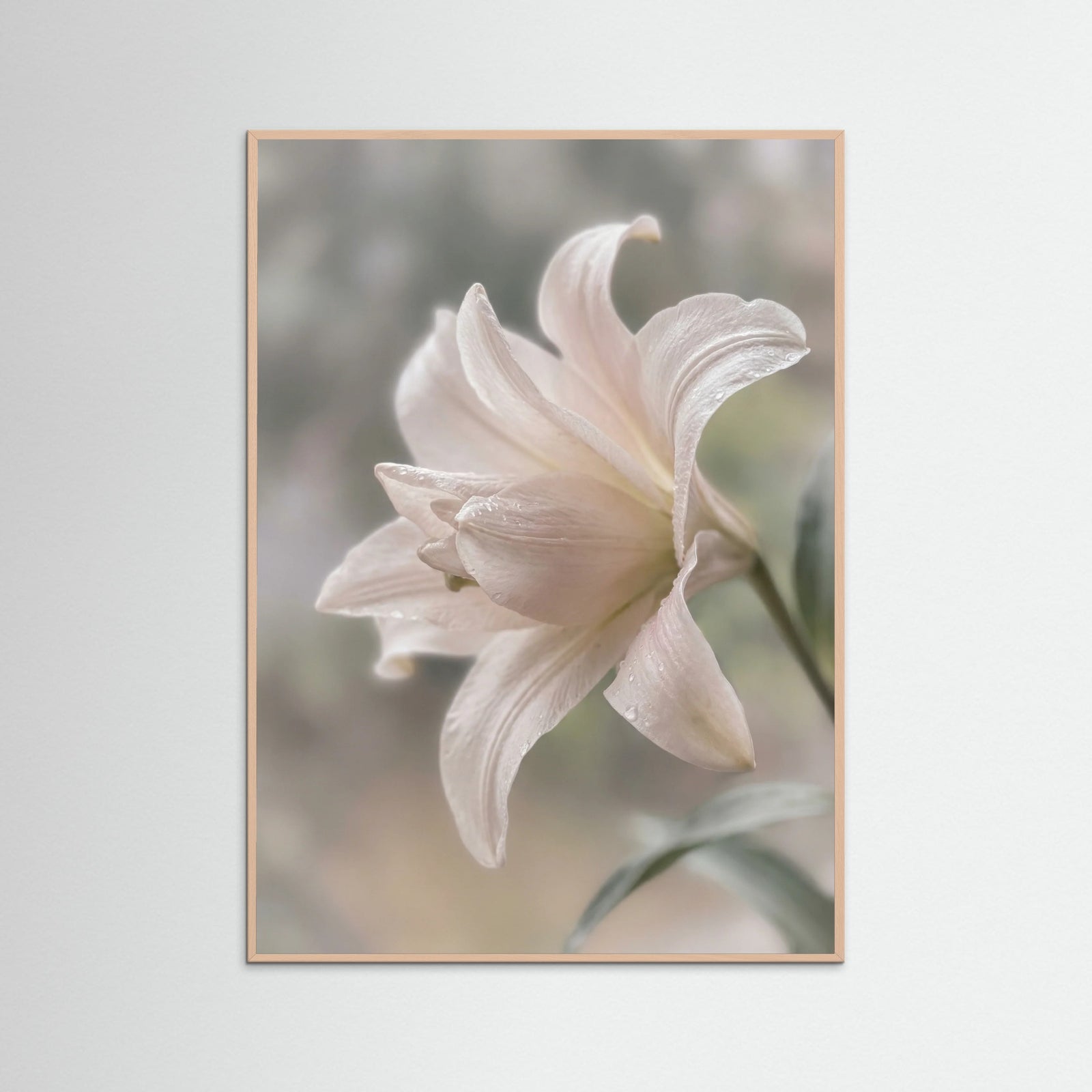 Rose Wood Whispering Lavenders