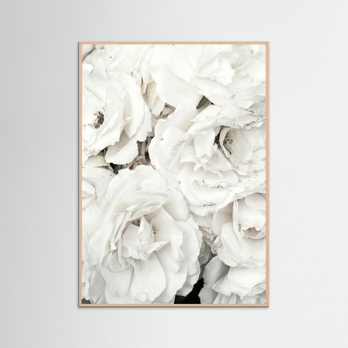 Rose Wood White Petal Embrace