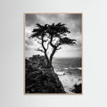 Rose Wood Windblown Grace