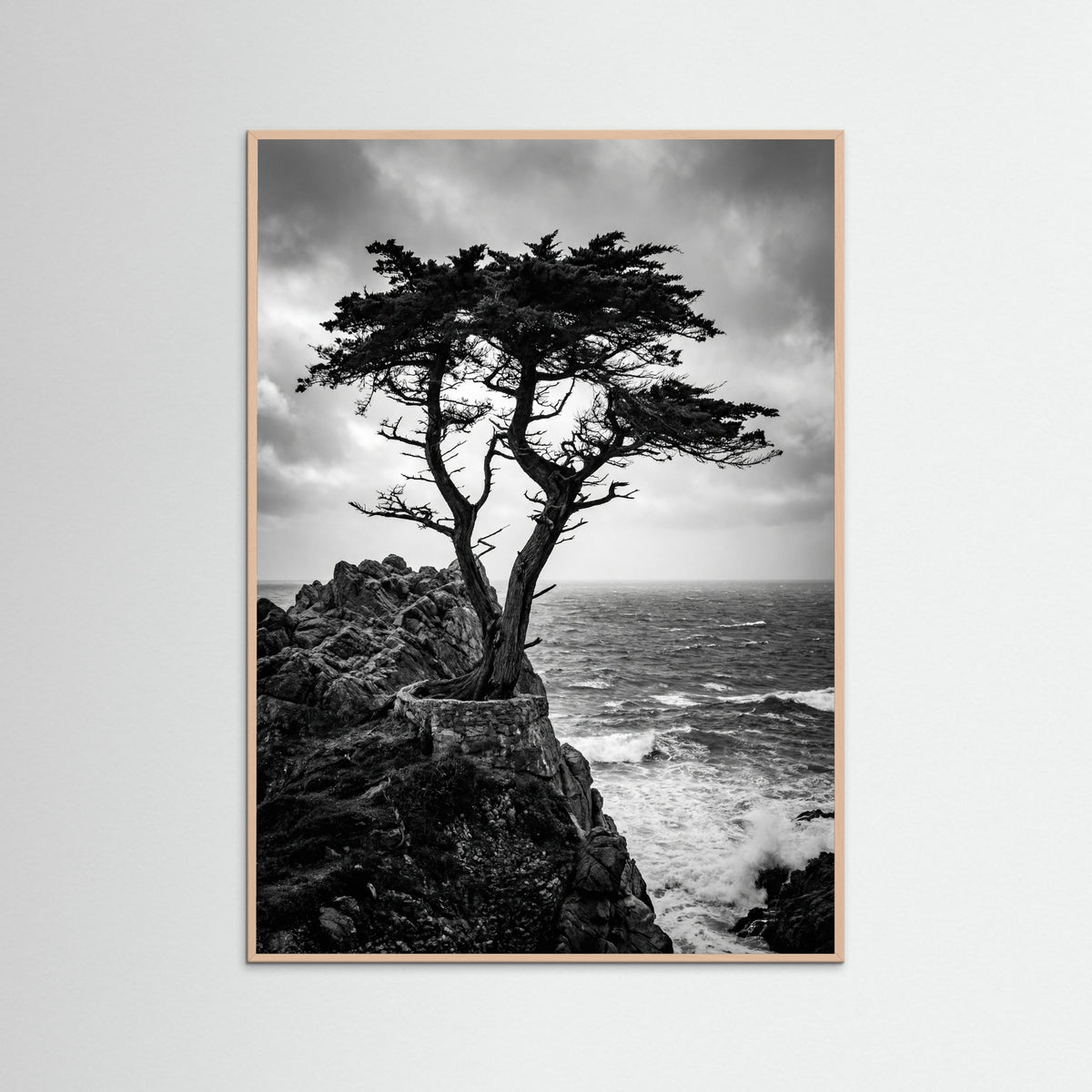 Rose Wood Windblown Grace