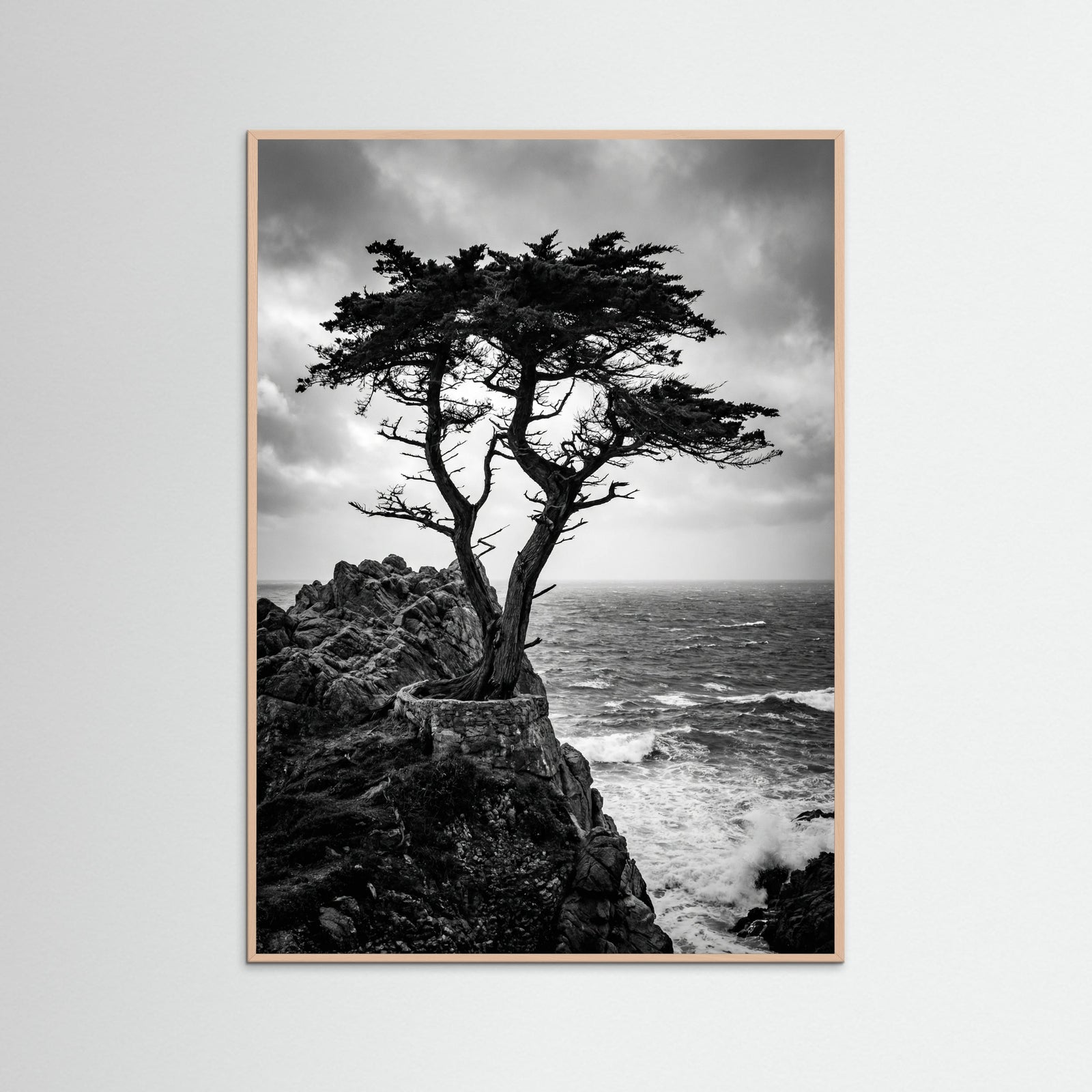 Rose Wood Windblown Grace