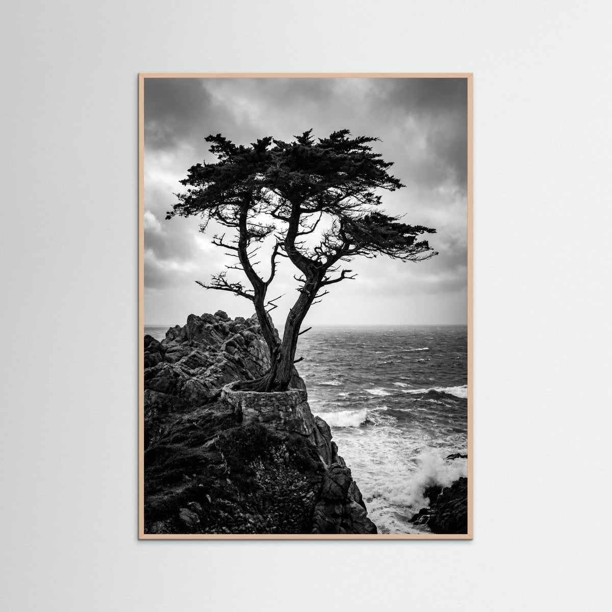 Rose Wood Windblown Grace