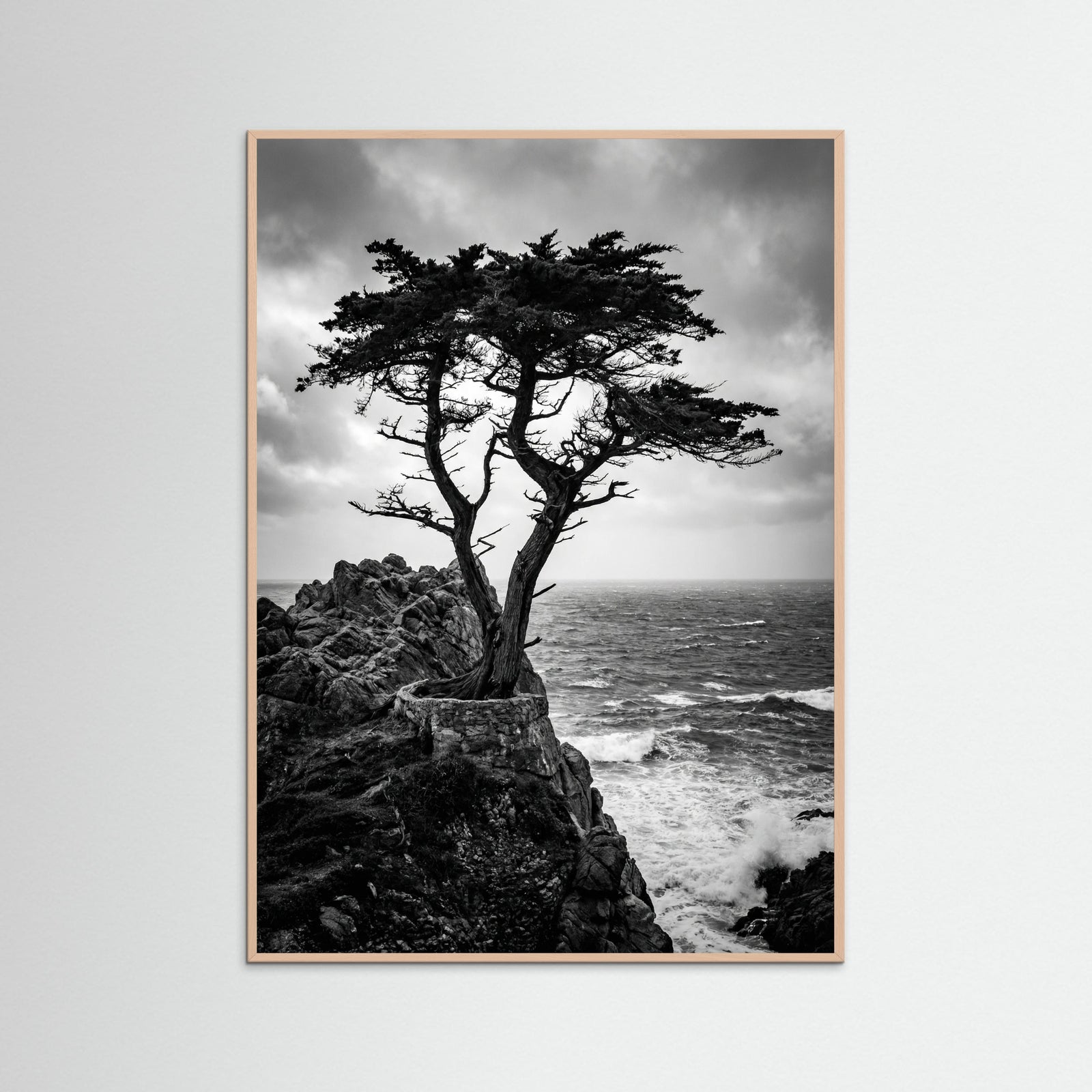 Rose Wood Windblown Grace