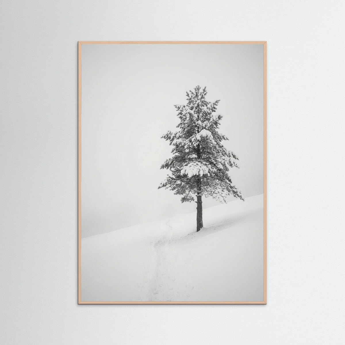 Rose Wood Winter Ascent