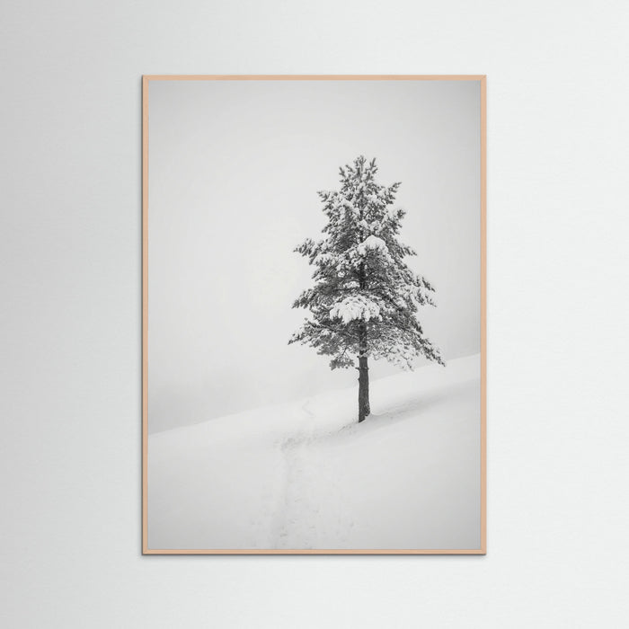 Rose Wood Winter Ascent