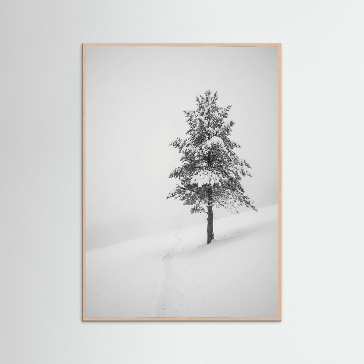 Rose Wood Winter Ascent