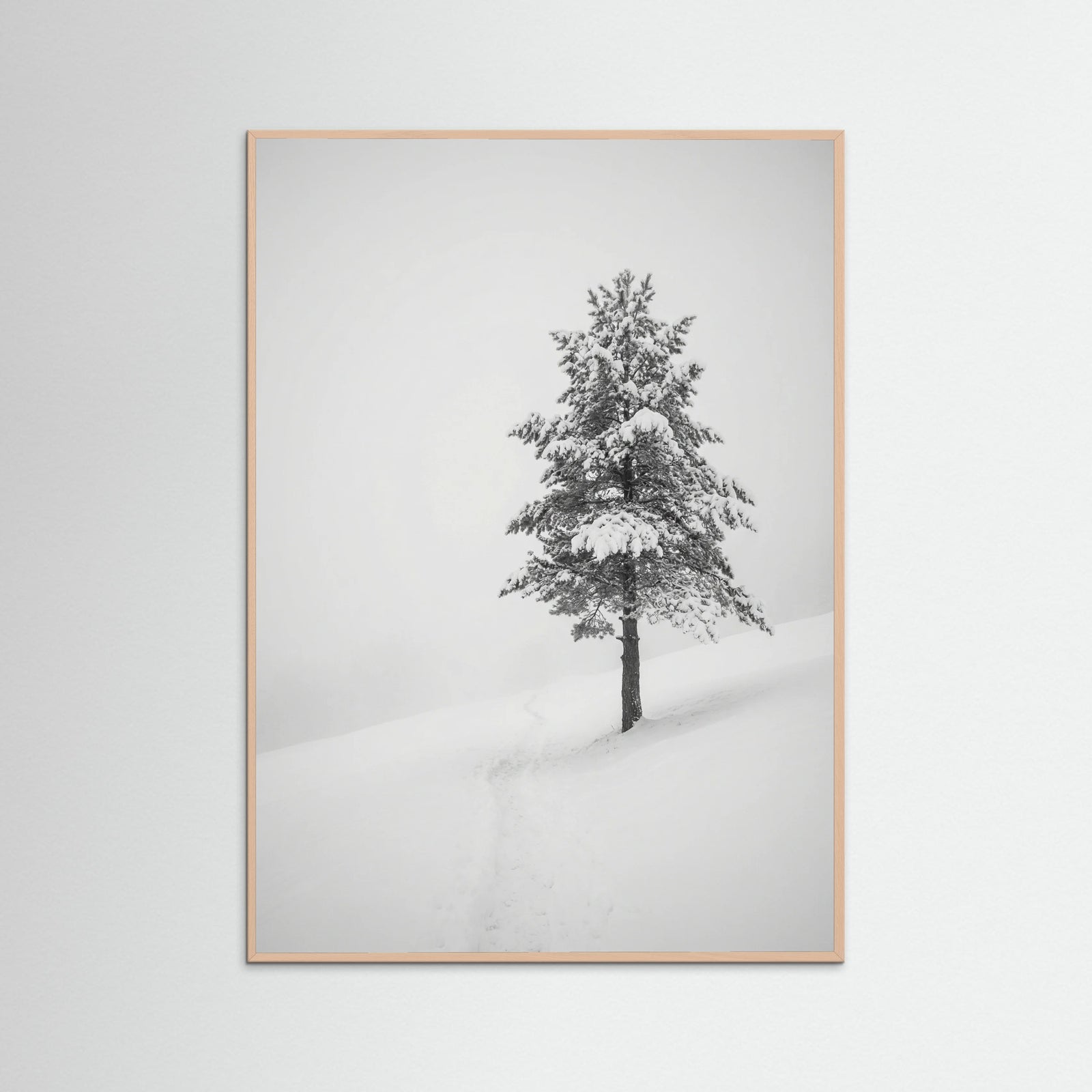 Rose Wood Winter Ascent