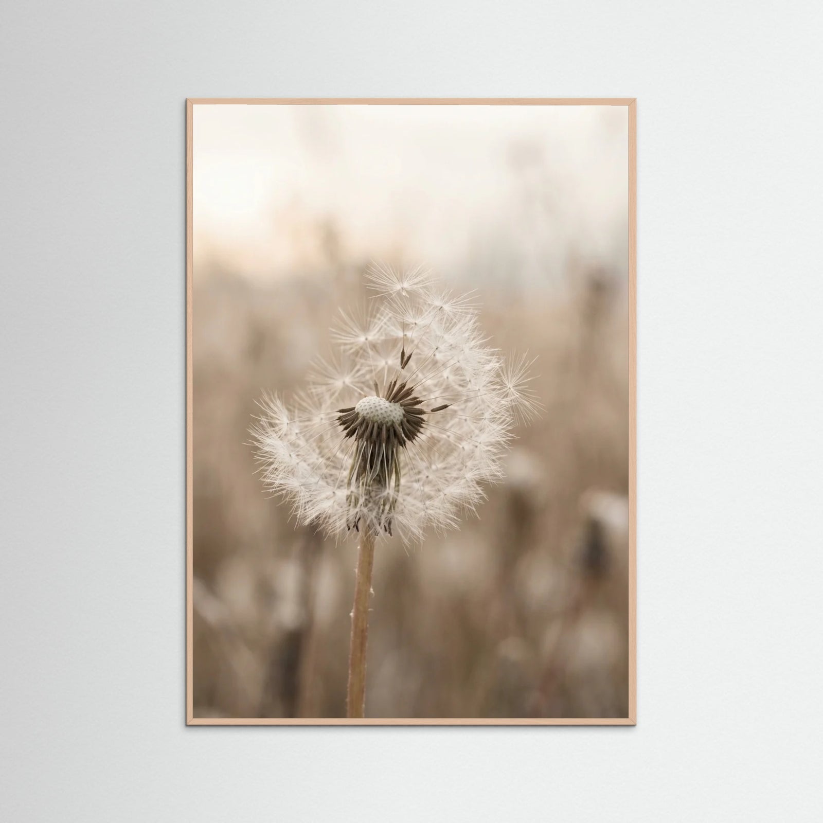 Rose Wood Winter Whisper