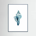 Blue Seashell On White Background No4 Poster – poster och konsttryck