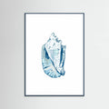 Blue Seashell On White Background No6 Poster – plakat og kunsttryk