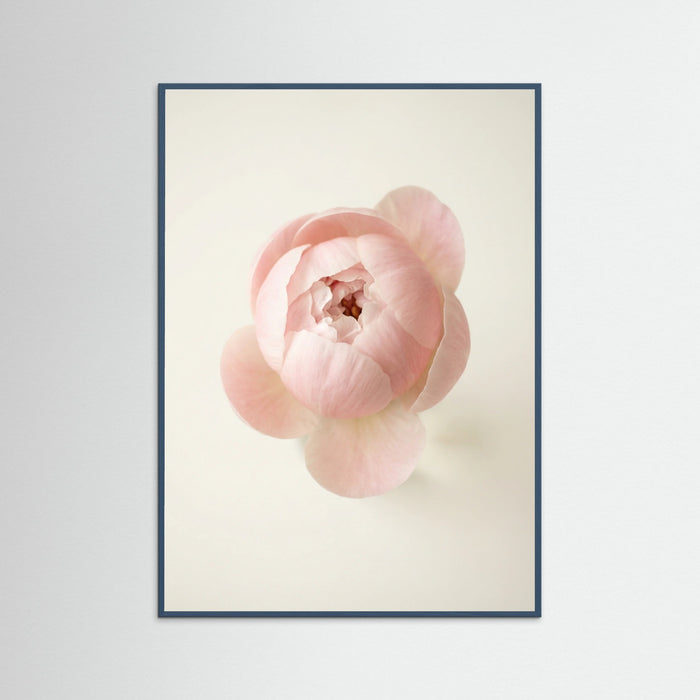 Teal Wood Blushing Blooms