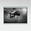 Teal Wood Bucking Calf Ride Poster