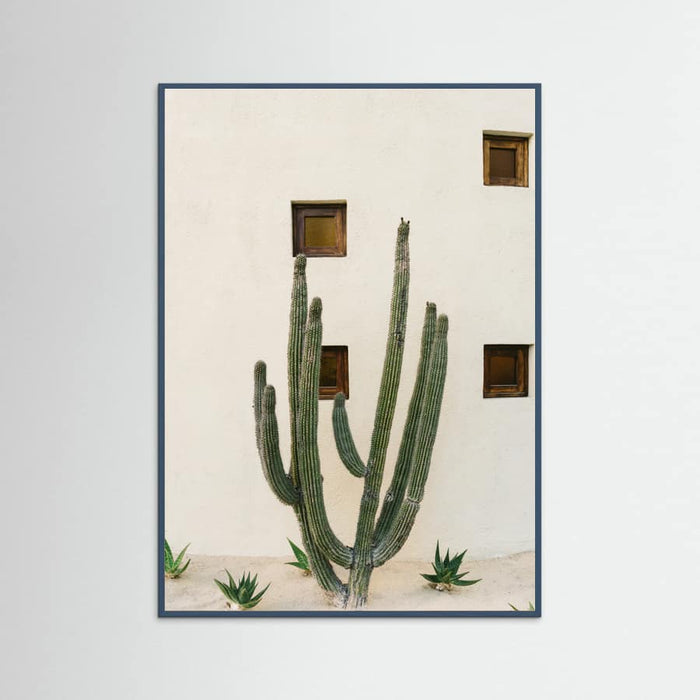 Teal Wood Cabo Cactus IX Poster