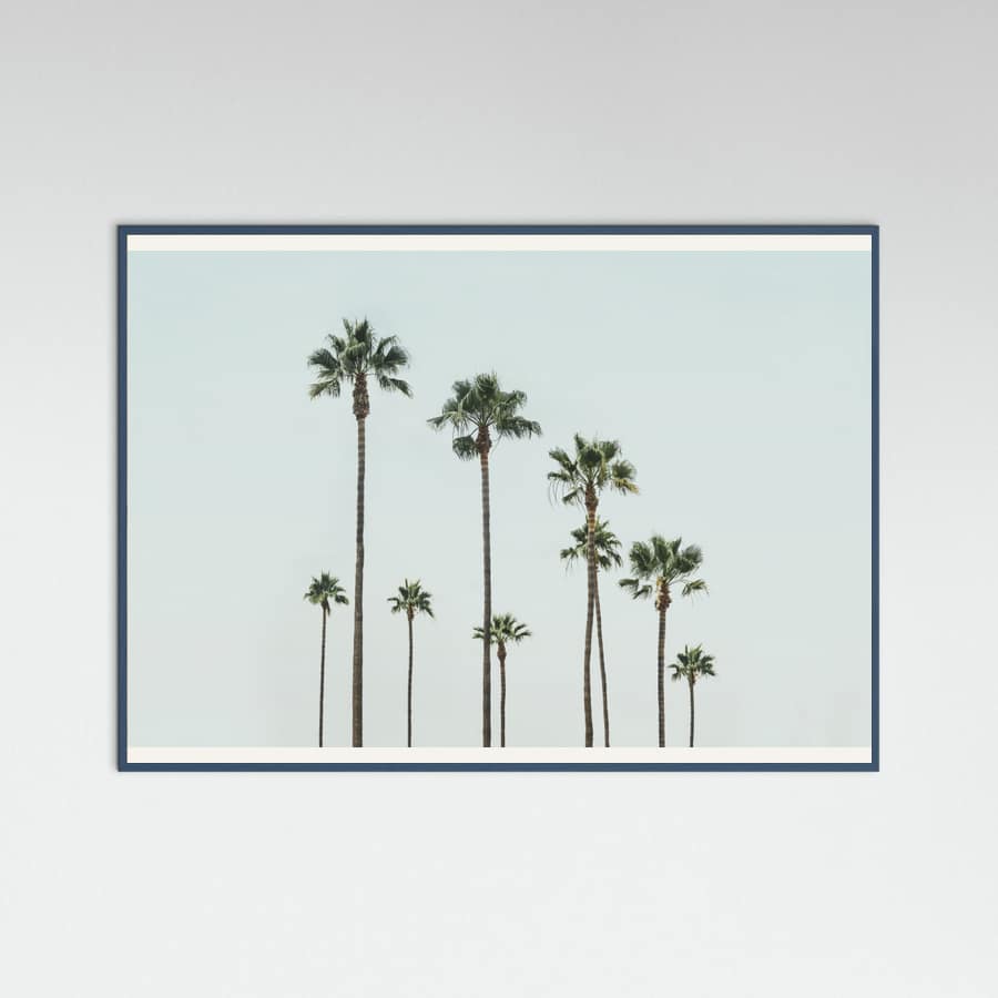 Póster Cali Palms – póster e impresión artística