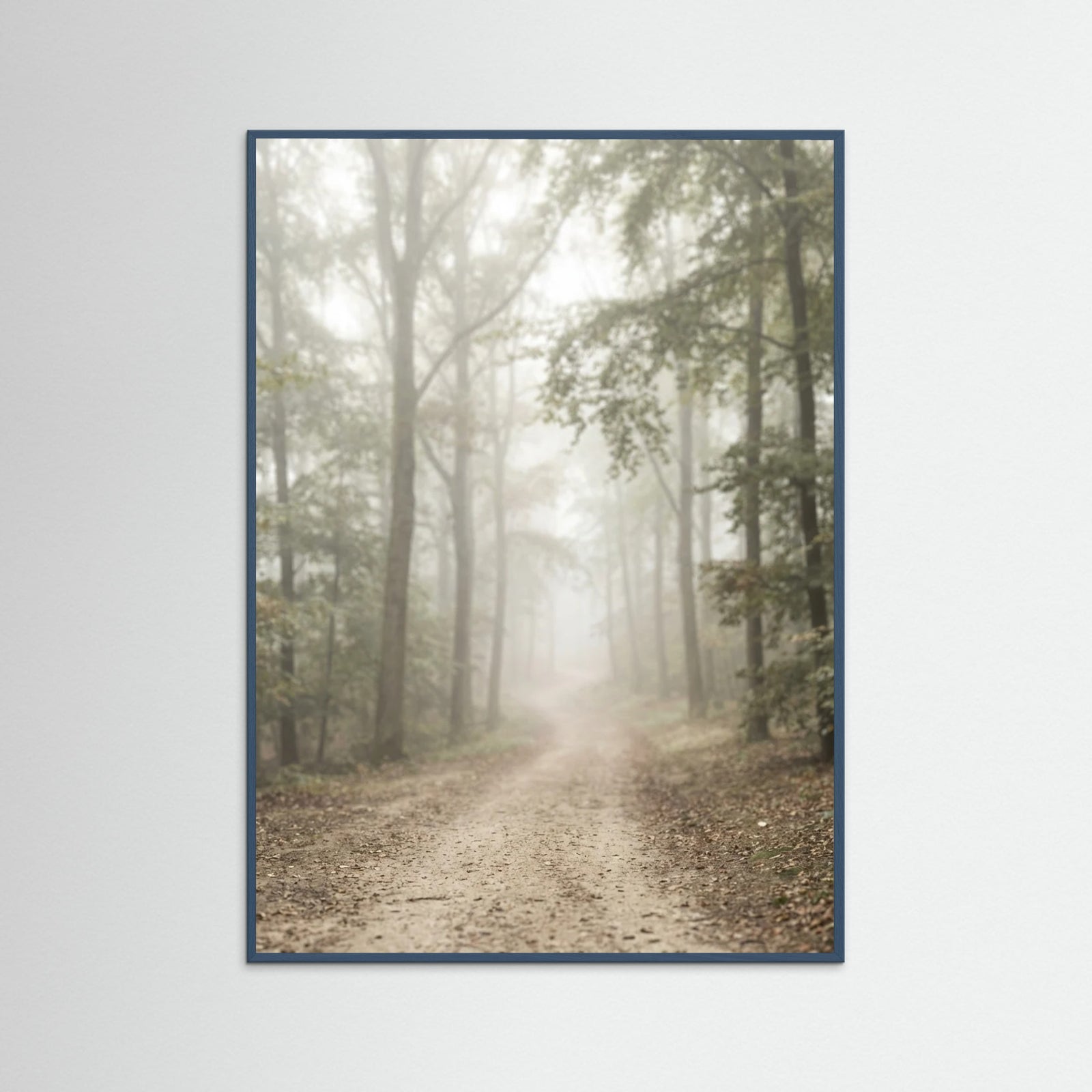 Teal Wood Coastal Haze