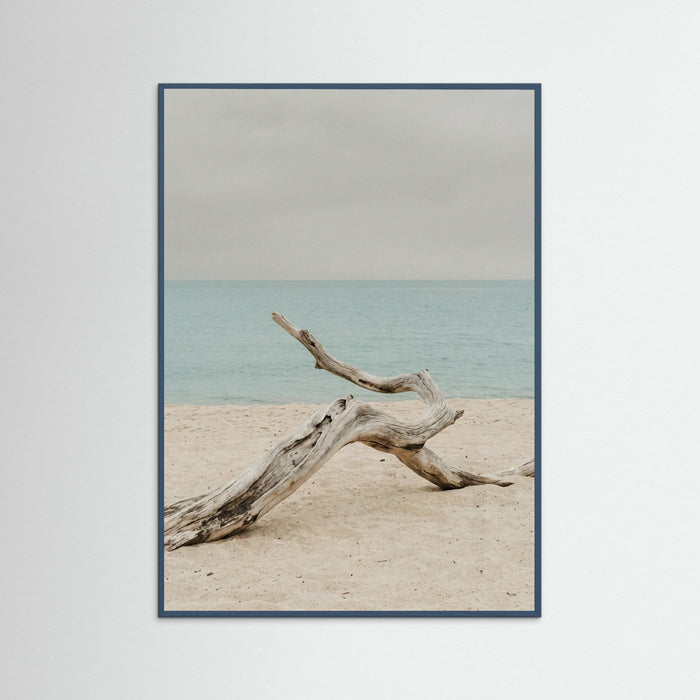 Teal Wood Coastal Seren