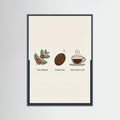 Teal Wood Coffee Brew Guide