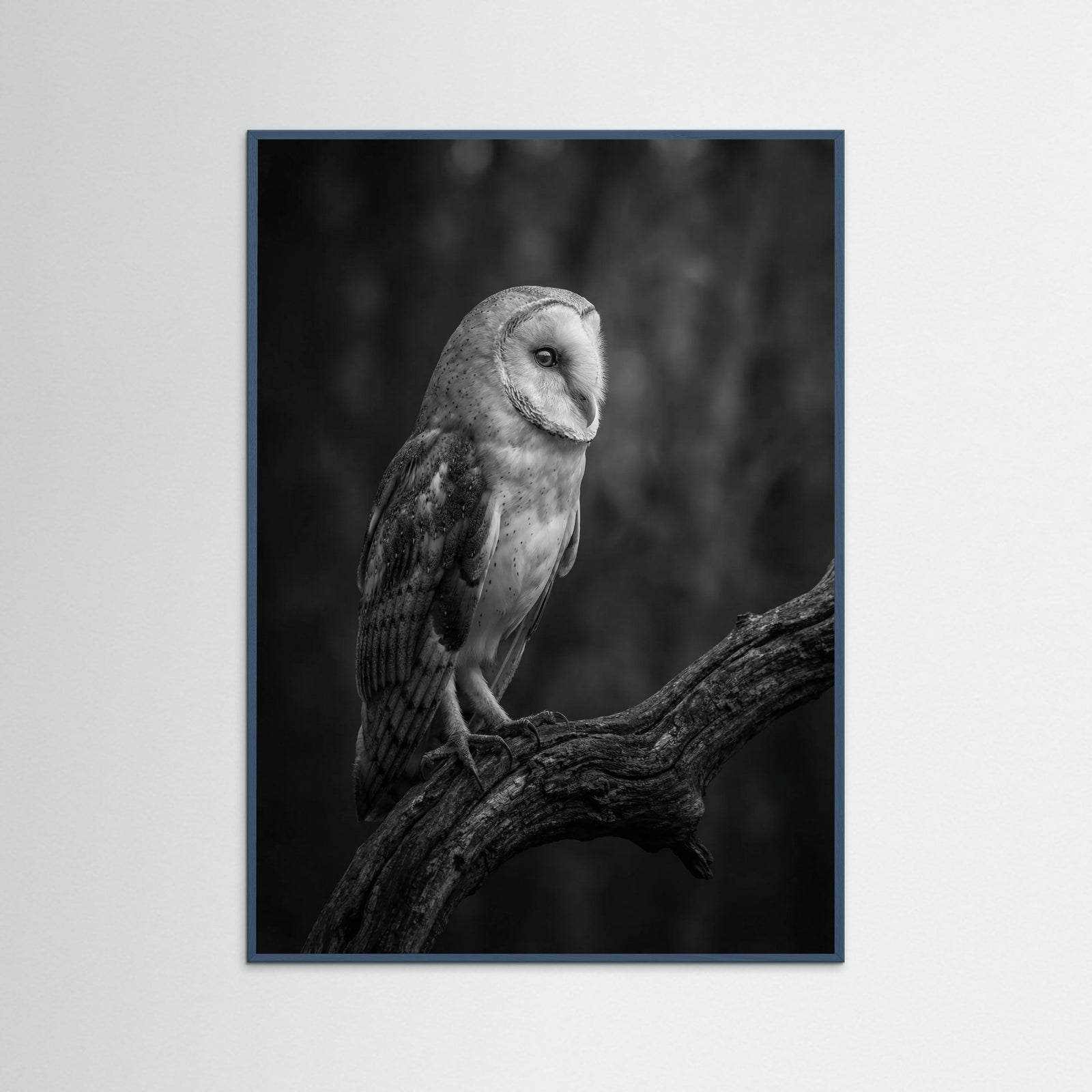 Teal Wood Contrasting Companions