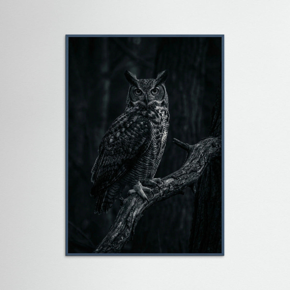 Teal Wood Dark Congregation