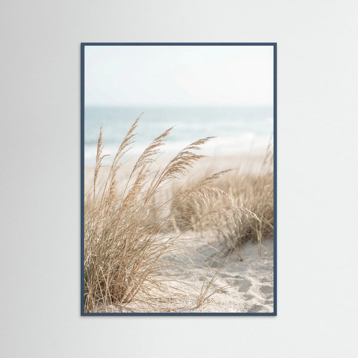 Teal Wood Dune Path Serenity