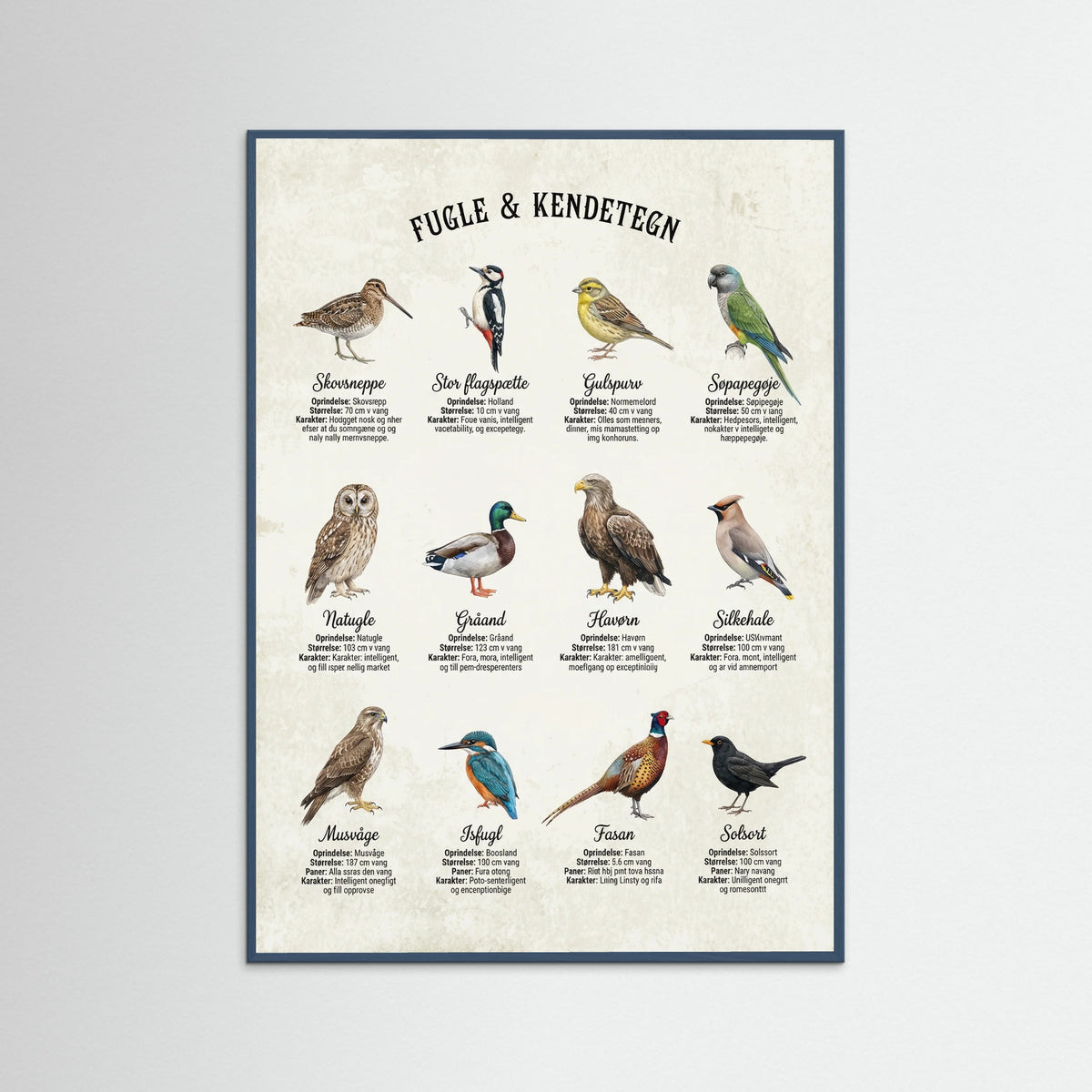 Teal Wood Equine Breed Guide