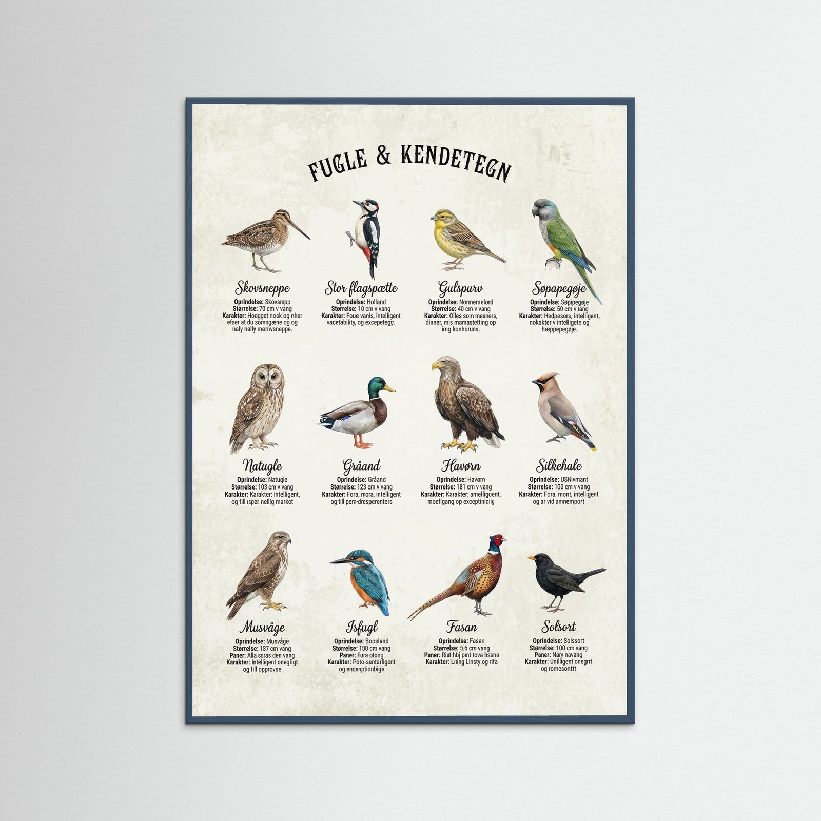 Teal Wood Equine Breed Guide