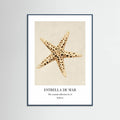 Affiche Estrella De Mar – affiche et impression d’art