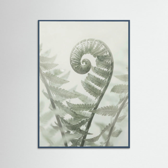 Teal Wood Ethereal Eucalyptus