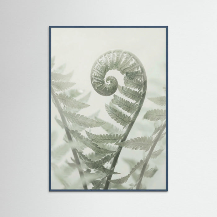 Teal Wood Ethereal Eucalyptus