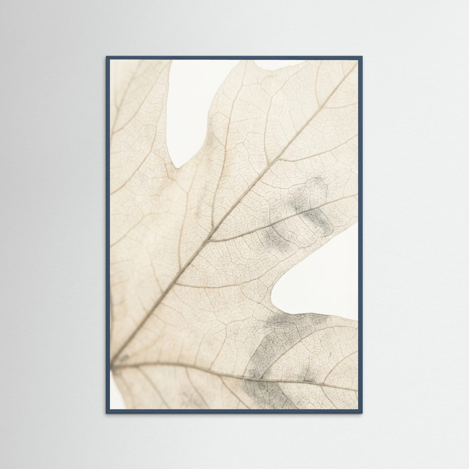 Teal Wood Faded Petals