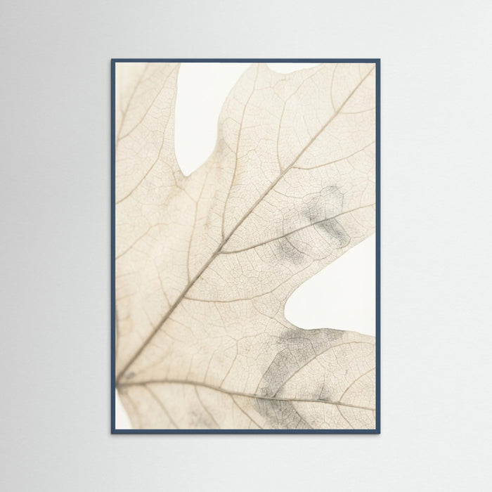 Teal Wood Faded Petals