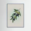 Teal Wood Fig Branch in Vase