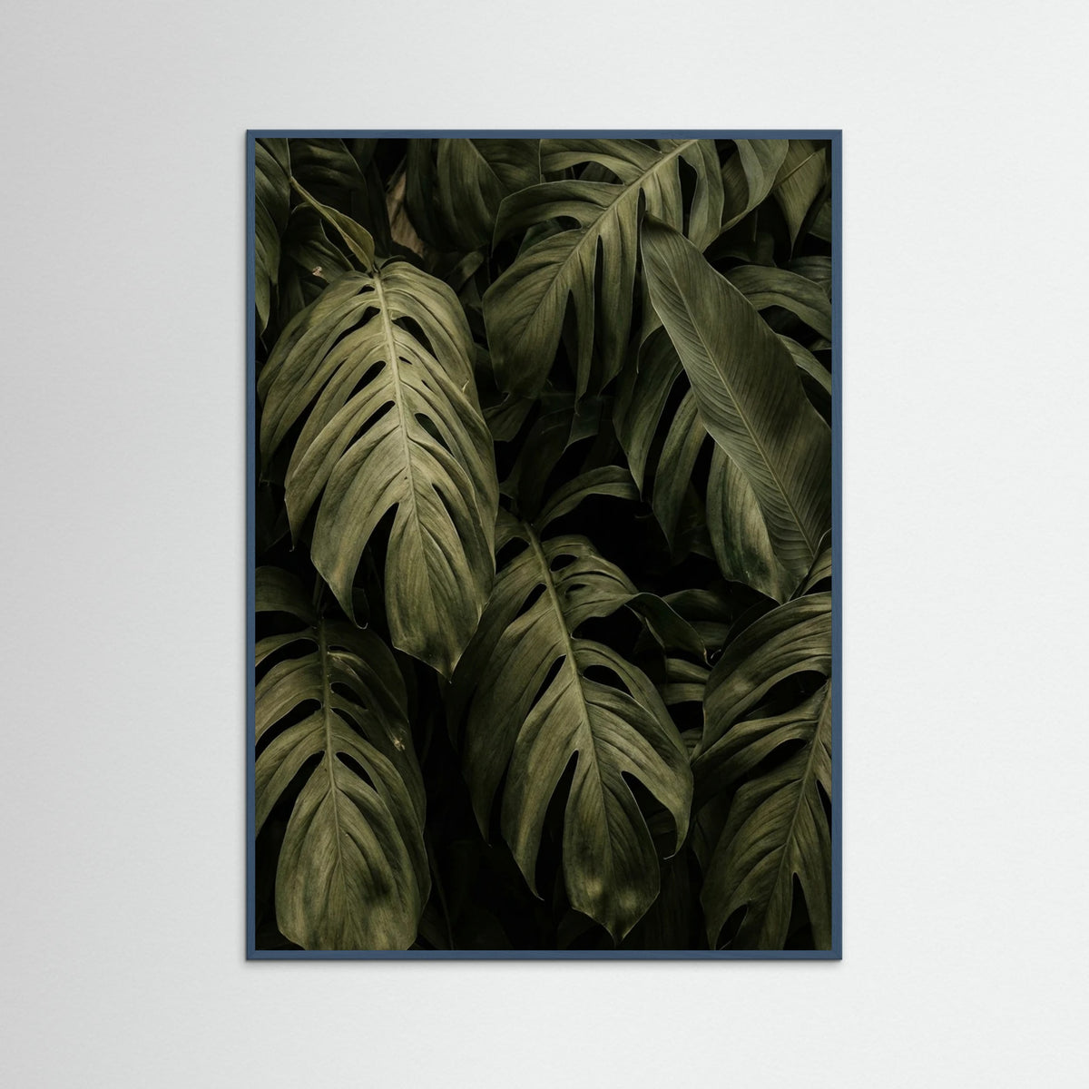 Teal Wood Frond Shadows