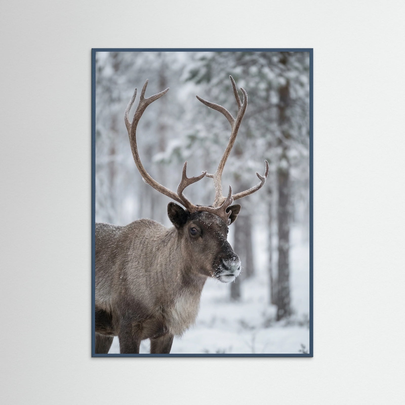 Teal Wood Frosty Highlands
