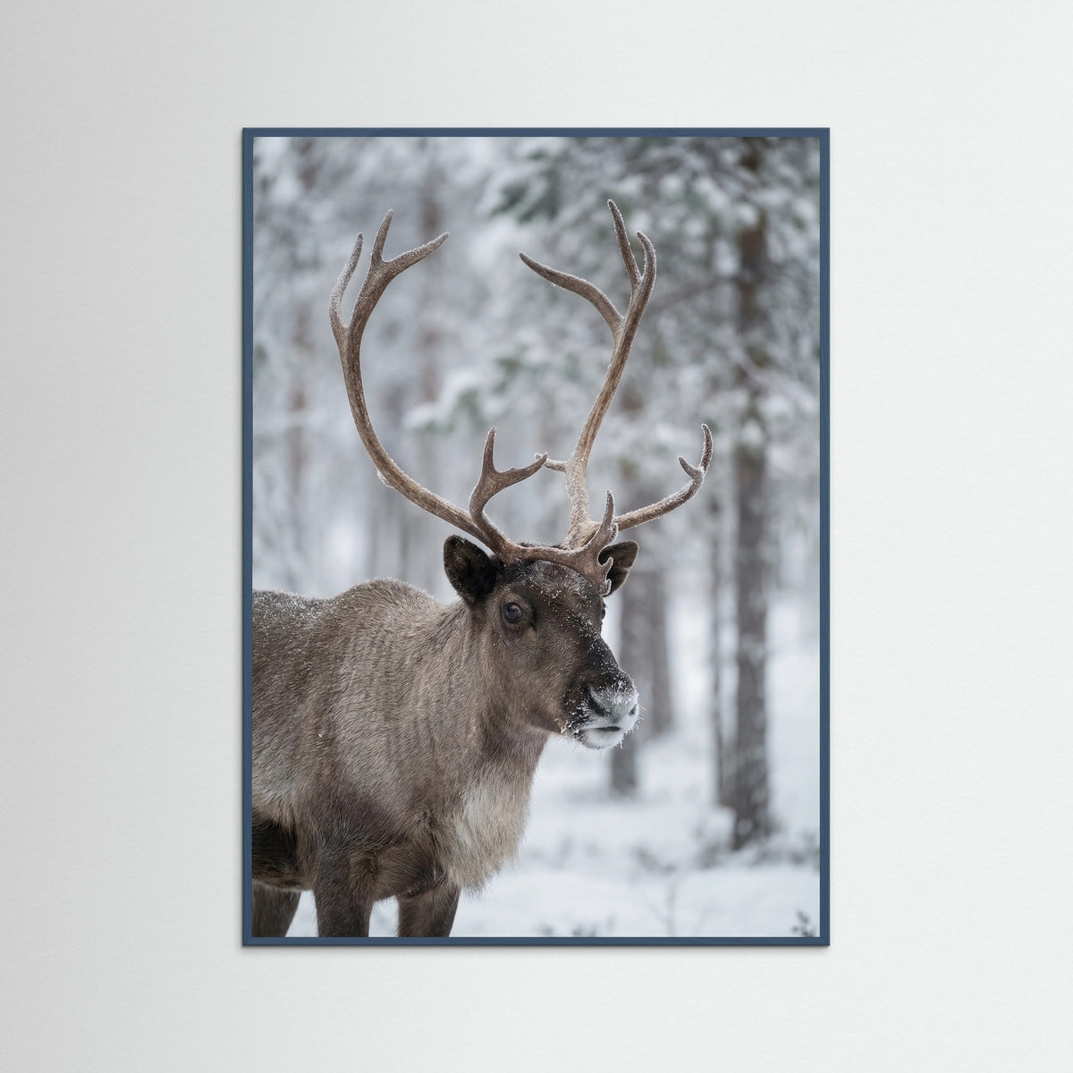 Teal Wood Frosty Highlands