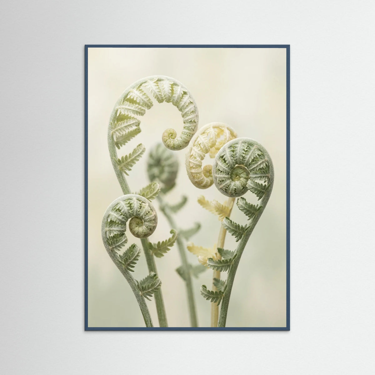 Teal Wood Gentle Ascent