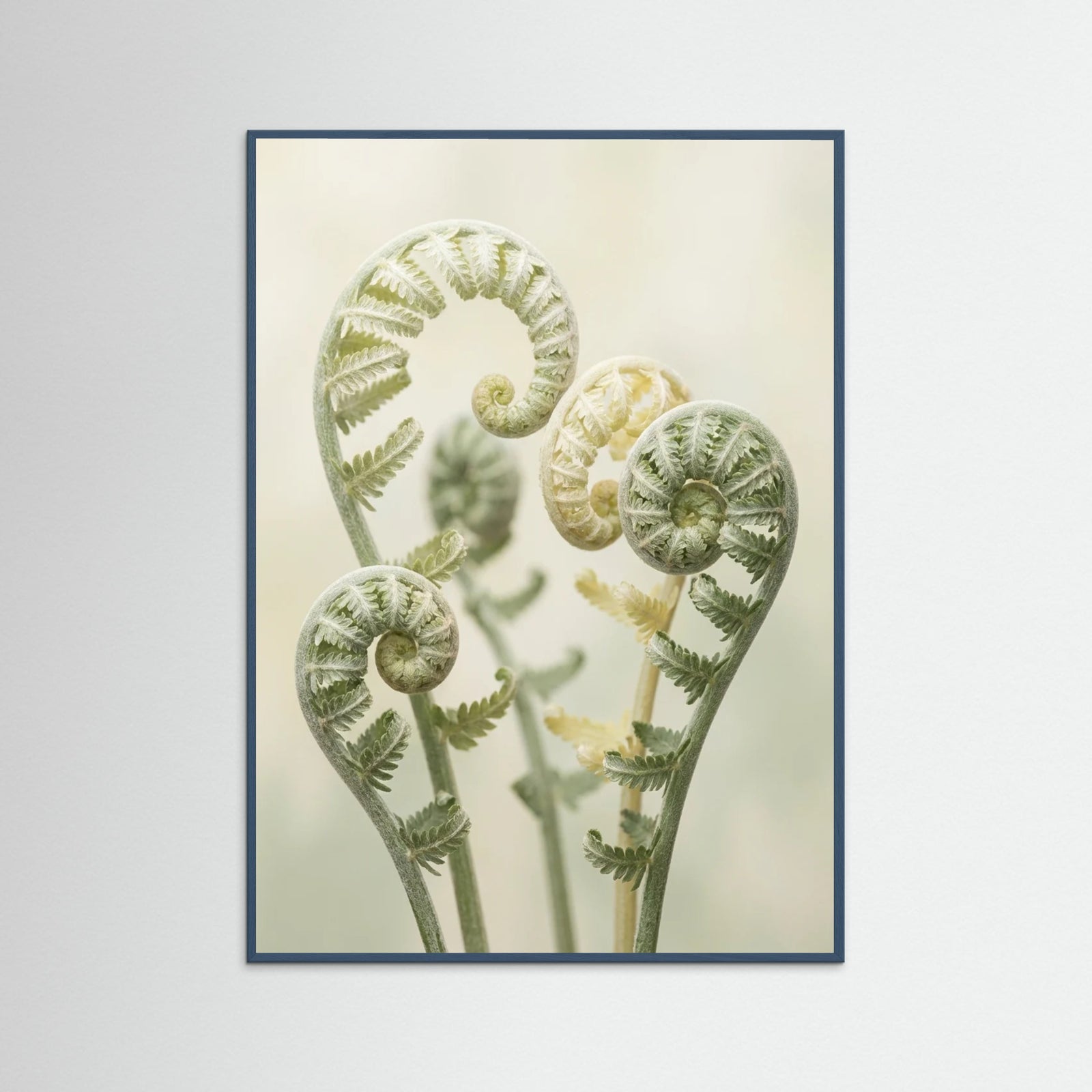 Teal Wood Gentle Ascent