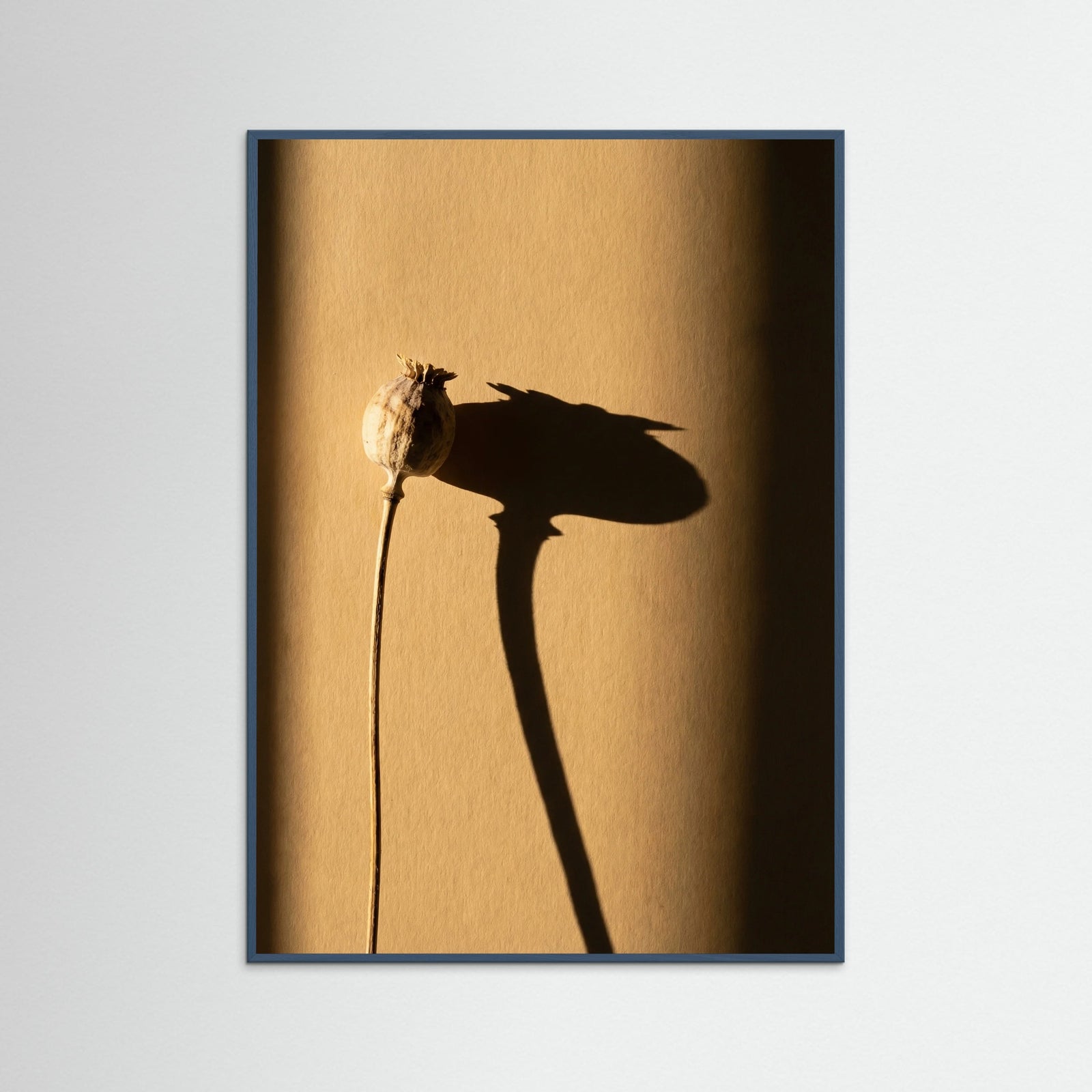 Teal Wood Golden Rose Shadow