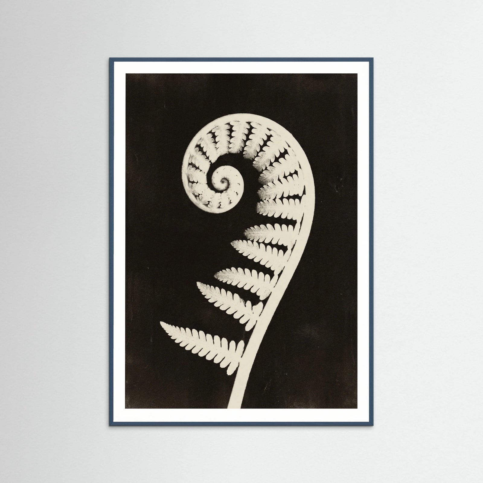 Teal Wood Goldenrod Specimen