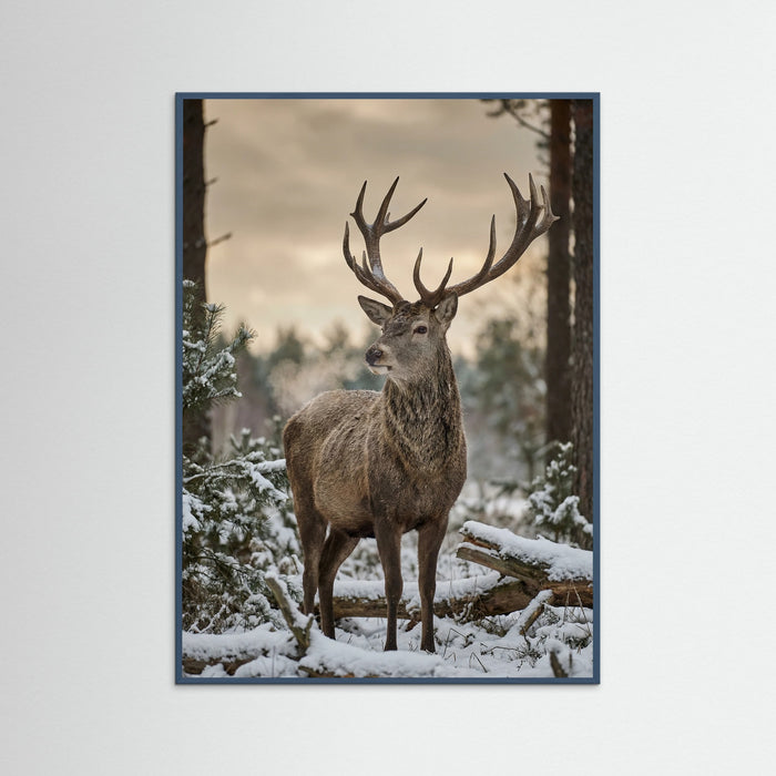 Teal Wood Highland Winter