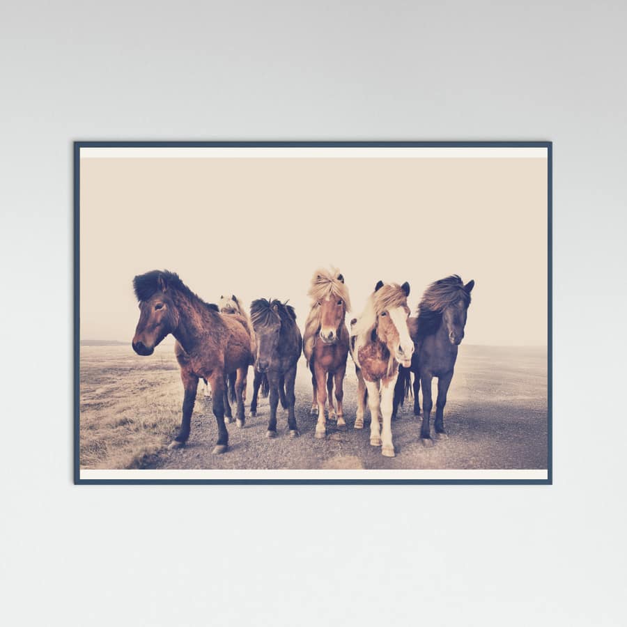 Poster Horses – poster e stampa artistica