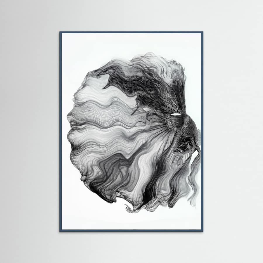 Plakat INK BETTA – plakat i druk artystyczny