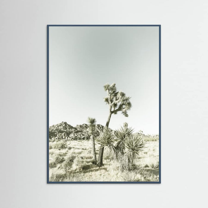 Teal Wood Joshua Tree National Park Vintage Impression Poster