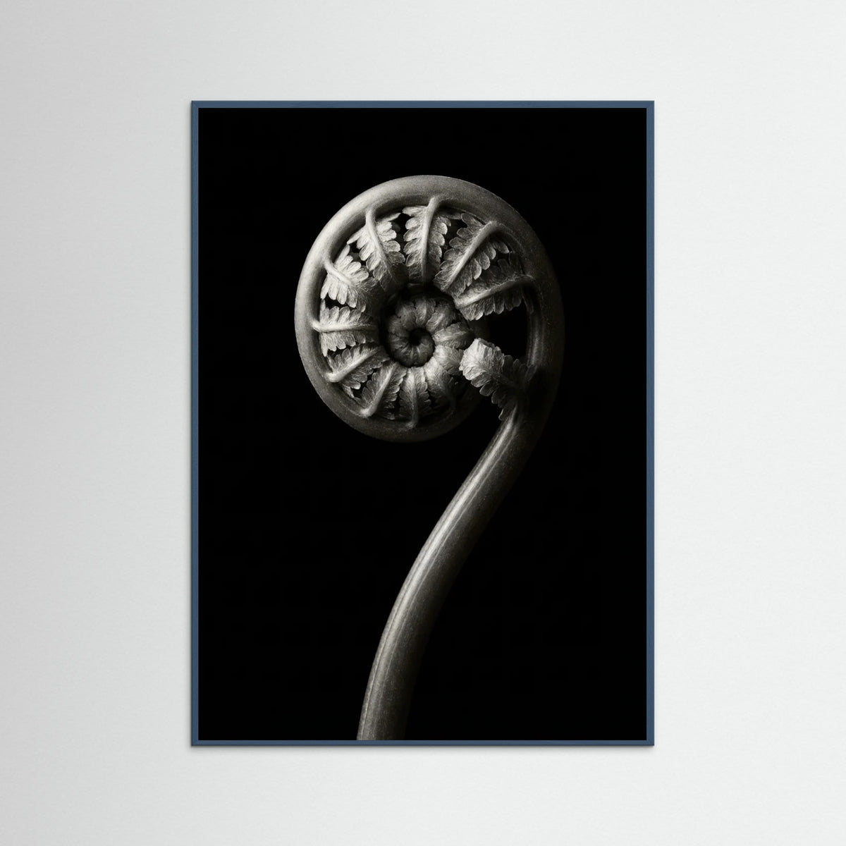 Teal Wood Luminous Curve