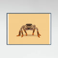 Teal Wood Lydia the Leggiest Cowgirl Spider Poster