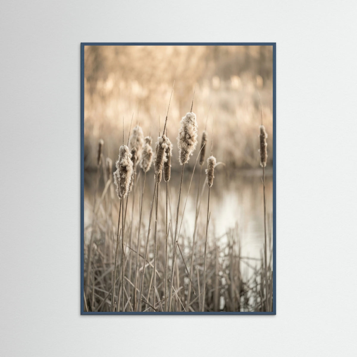 Teal Wood Meadow Thistle Glow